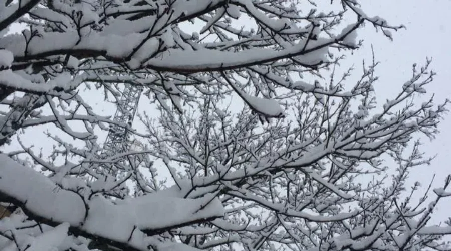Winter Isn’t Over Yet