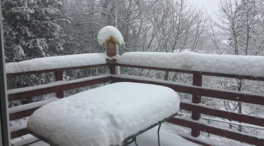 UPDATED: Cancellations for Wednesday March 14