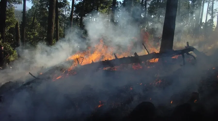 2018 Forest Fire Season Begins April 16th