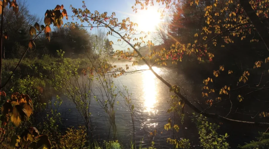 Nature Conservancy Says You Can Get A Tax Break By Donating Land to Them For Conservation Purposes