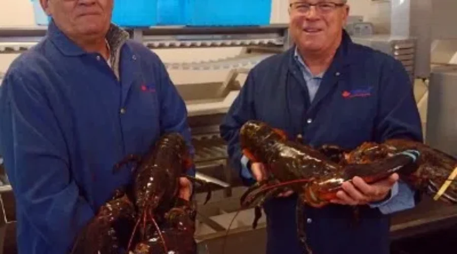 Province Investing In Deer Island Frozen Lobster Production Line