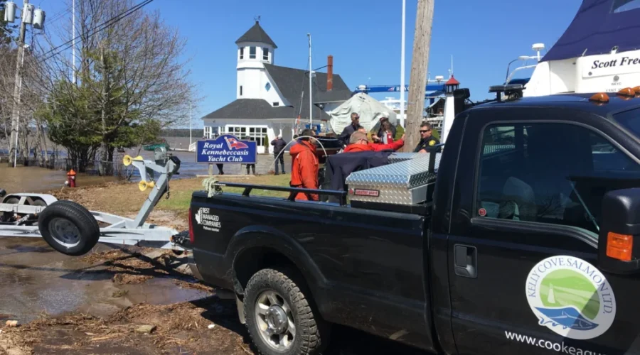 Cooke Aquaculture Going All Out To Help Flood Victims
