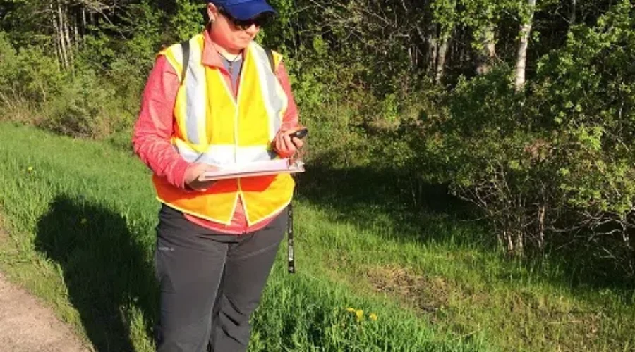 Research Tracks Wildlife Sightings In Chignecto Isthmus