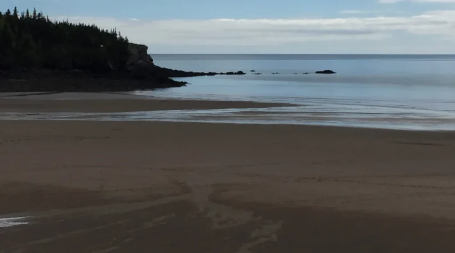 Mayor Calls For Review Of Lifeguard Staffing At Beaches