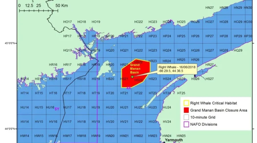 Bay Of Fundy Closure To Fishing Off Grand Manan After Right Whale Spotted