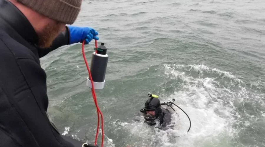 Pilot Project Launched For Local Salmon