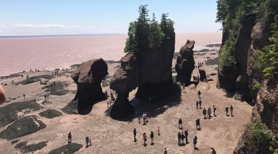 New Additions For Tourists At Hopewell Rocks