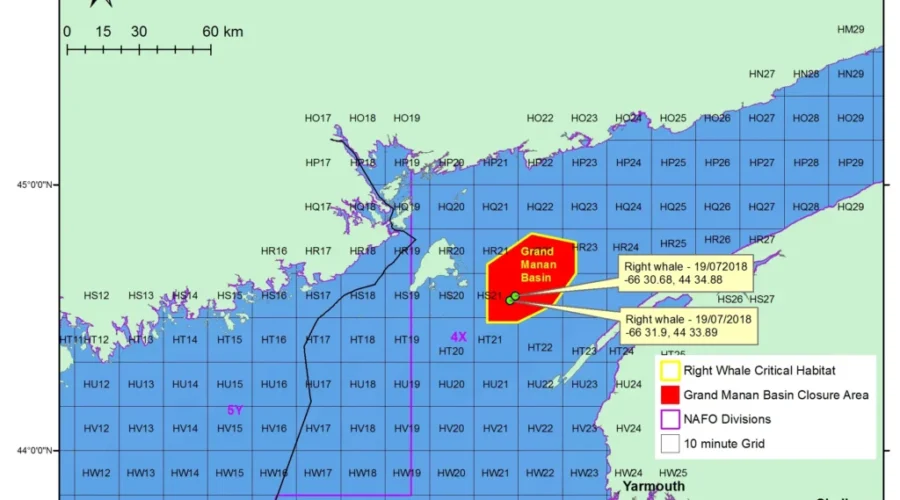Another Closure To Fishing Begins Sunday in Grand Manan