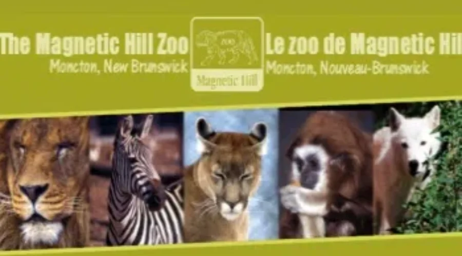 Magnetic Hill Zoo Keeps Close Eye On Animals During Heat Wave