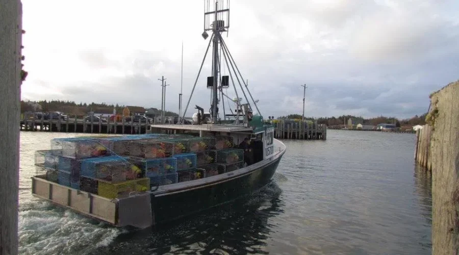 U.S. Border Patrols Agents Board New Brunswick Fishing Boats