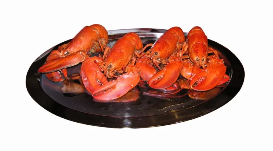 Will Shediac Reclaim The Lobster Roll Record?