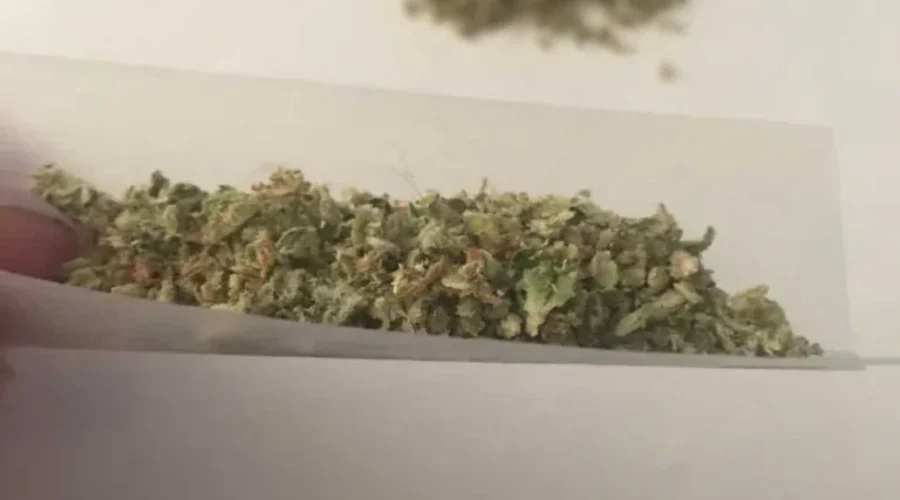 Federation Of Labour Draws Concern Over Legalization Of Cannabis