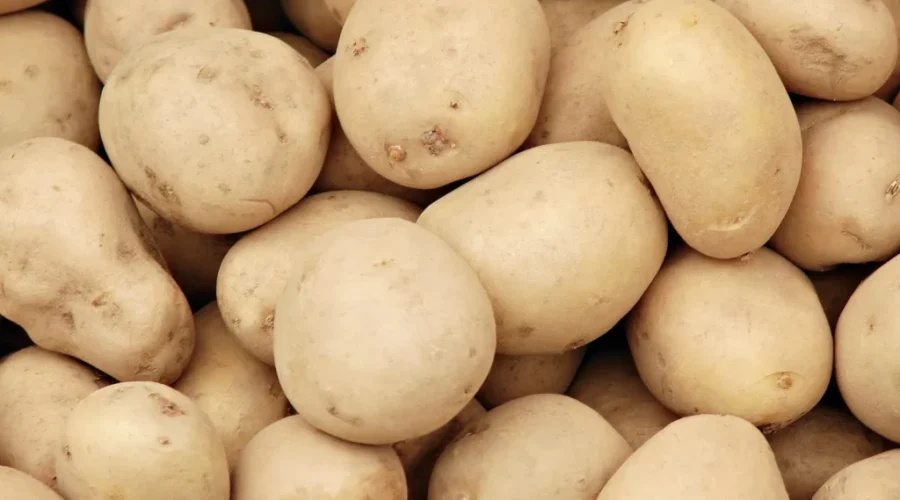 Cavendish Farms Closes Fresh Packaging Facility In PEI