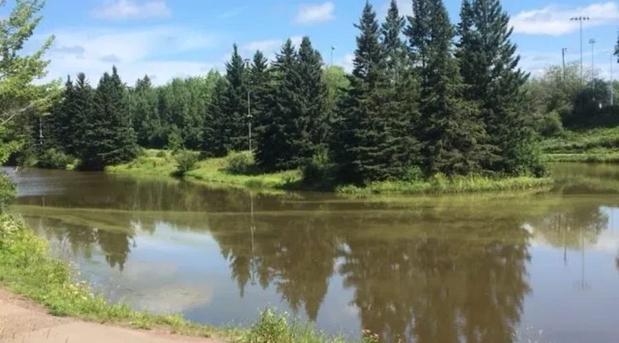 Provincial Government Tests Water In Thorn Brook After Dog Dies