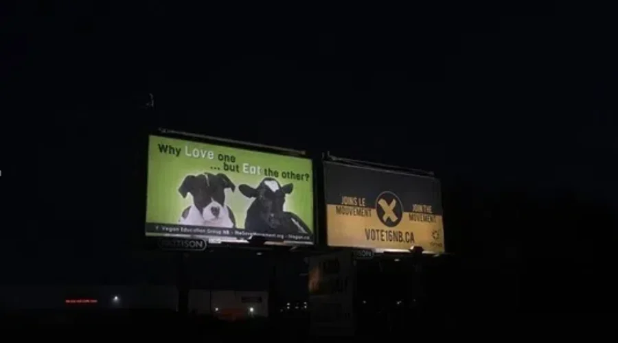 GO VEGAN— Billboards Are Up In Saint John And Other Cities.