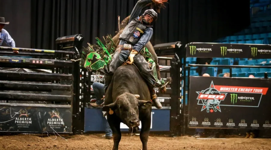 Professional Bull Riders To Entertain at Avenir Centre in 2019