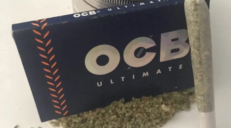 Two Weeks Out From Recreational Legalization: Do You Know Your Rights?