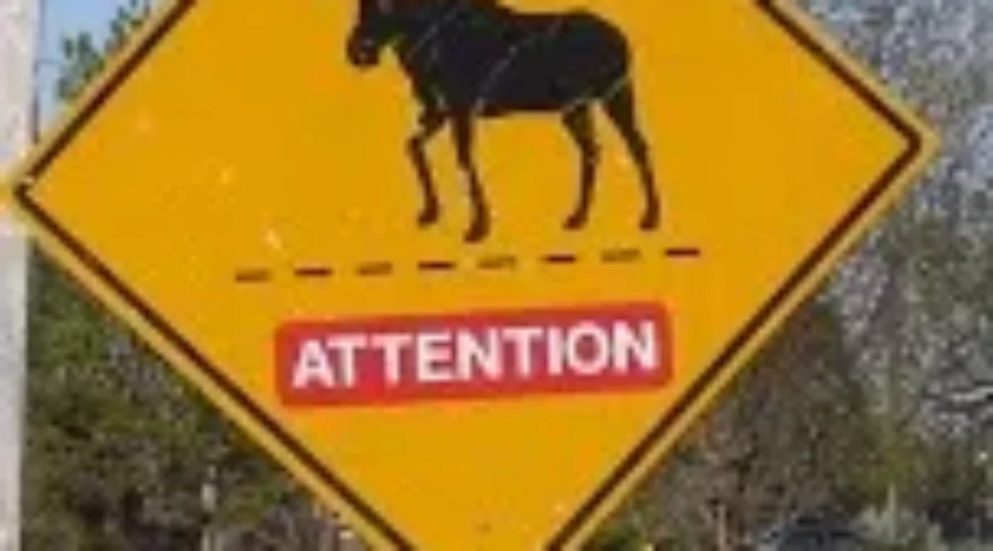 Safe Travels For Thanksgiving Weekend