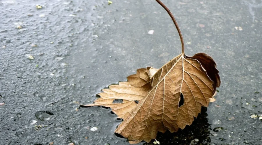 Southern New Brunswick Will Get A Soaking