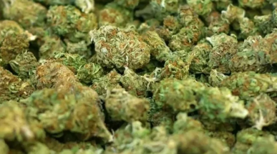 Poll Shows Mixed Reaction To Cannabis And The Workplace
