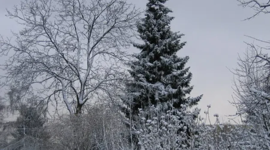 See Someone Cold, Who Might Need Help? Call 911: Fire Chief