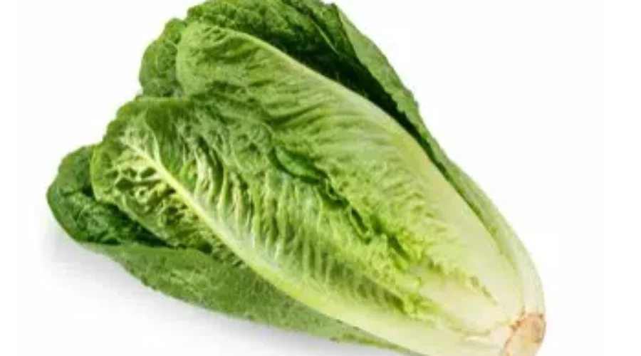 Provincial E. Coli Case Linked To Romaine Lettuce