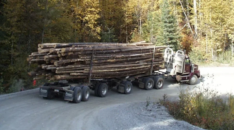 Irving Pulp And Paper Limited To Pay Large Fine For Environmental Violation