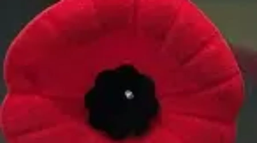 Remembrance Day Services In The Greater Saint John Area
