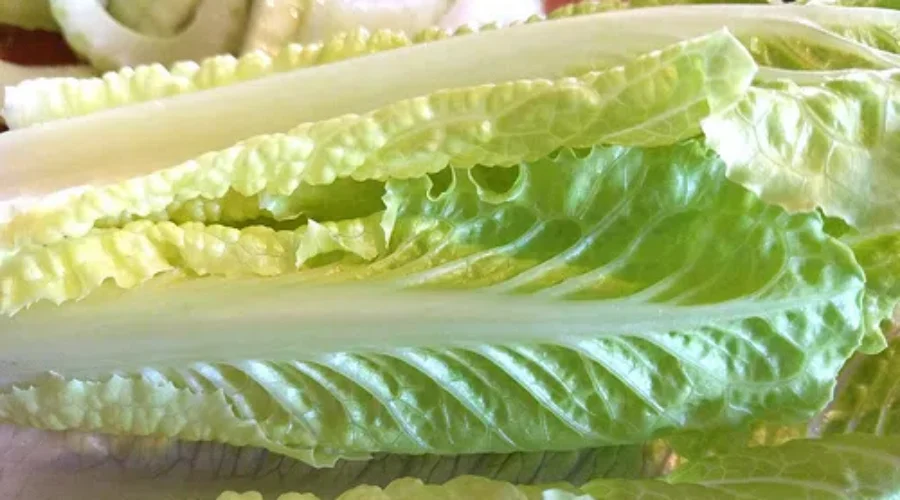Romaine Lettuce Now Safe In Canada: CFIA