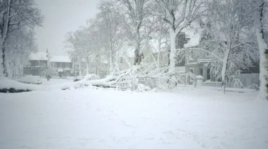 El Niño Will Impact N.B. Winter Weather