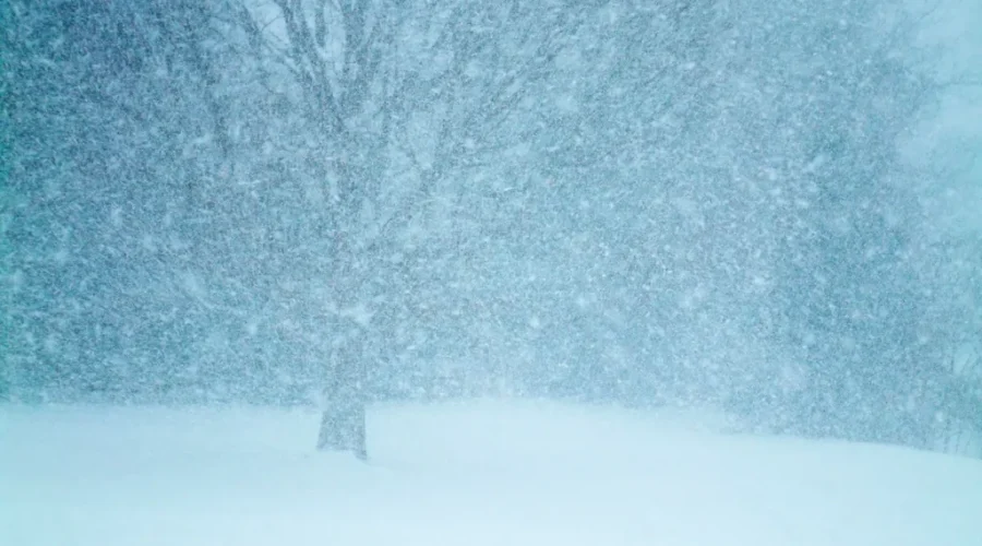 Snow Expected For New Year’s Day