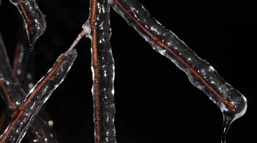 Storm Brings Snow, Rain, Freezing Rain