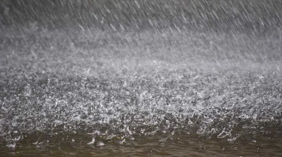 Rain Washes Away White Christmas Hopes