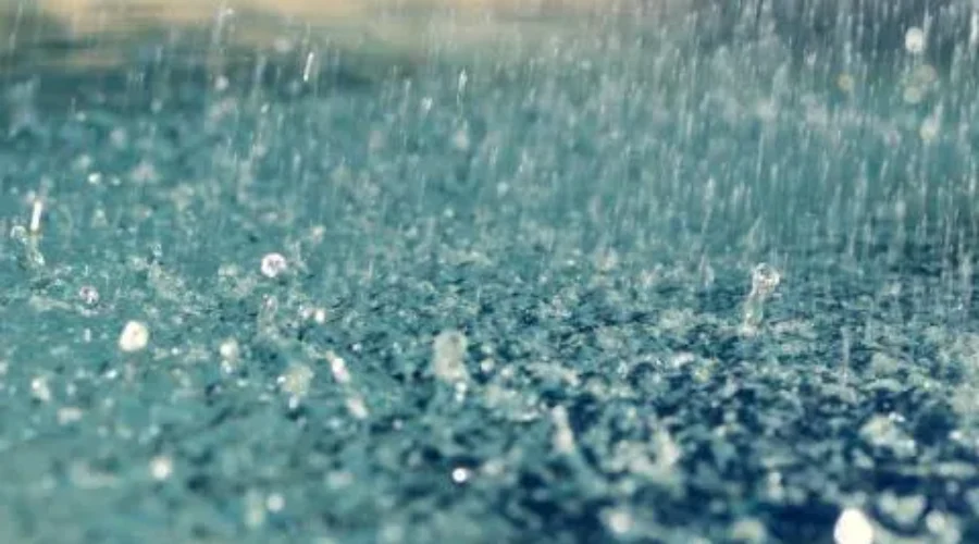 Plenty Of Rain To Hit The Province