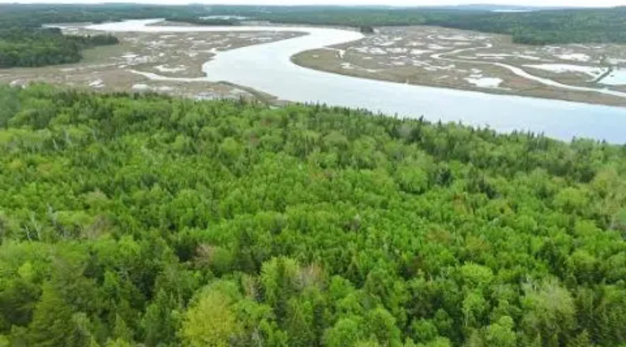 Saturday Is World Wetlands Day