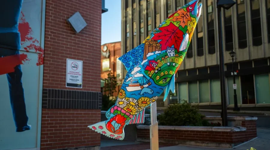 Salmon Run Submissions Now Being Taken