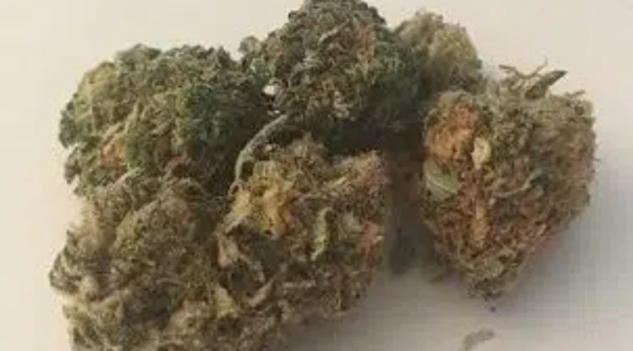 NB Sees Largest Price Increases For Cannabis Since Legalization