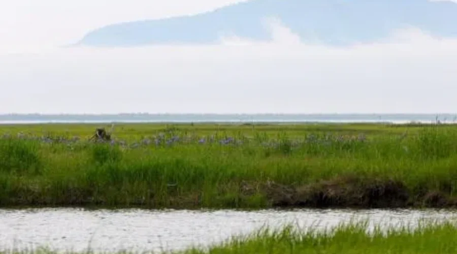 Nature Conservancy Of Canada Gets $1,000,000 Donation From JDI