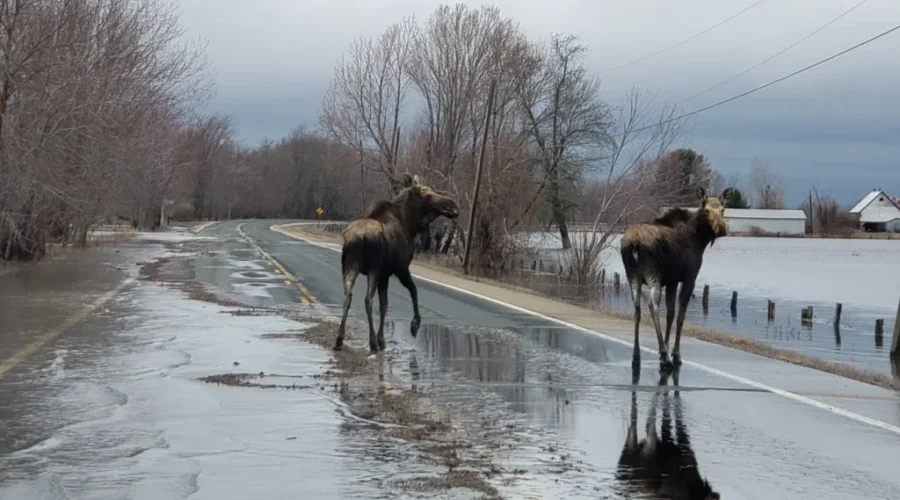 Many Communities Impacted By Rising Water Levels