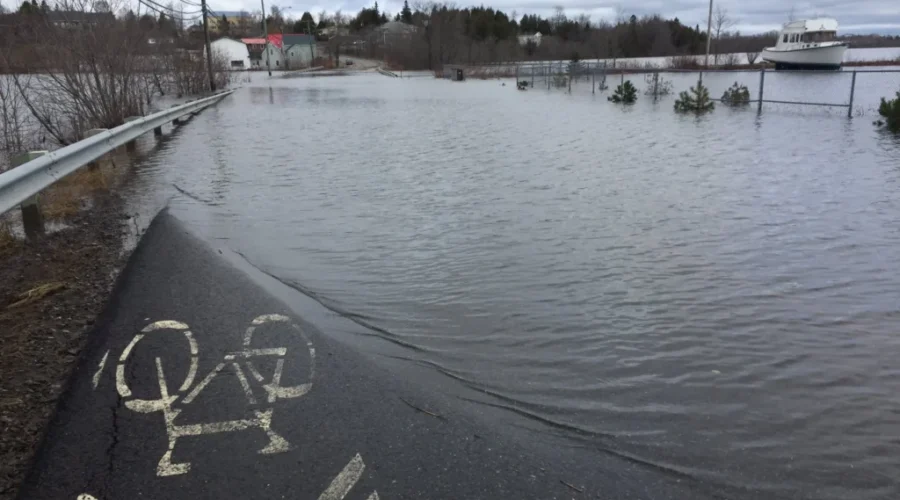 Saint John Hopes To Begin Flood Cleanup Soon