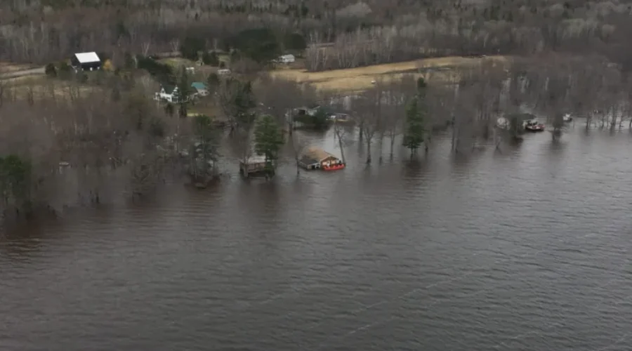 NB Slowly Enters Recovery Phase