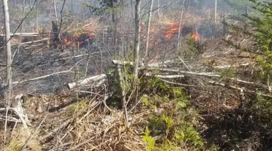 Grass Fire Season Begins During A Burn Ban