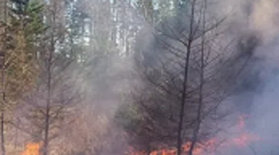 Musquash Fire Department Battles Grass Fire Near A Church