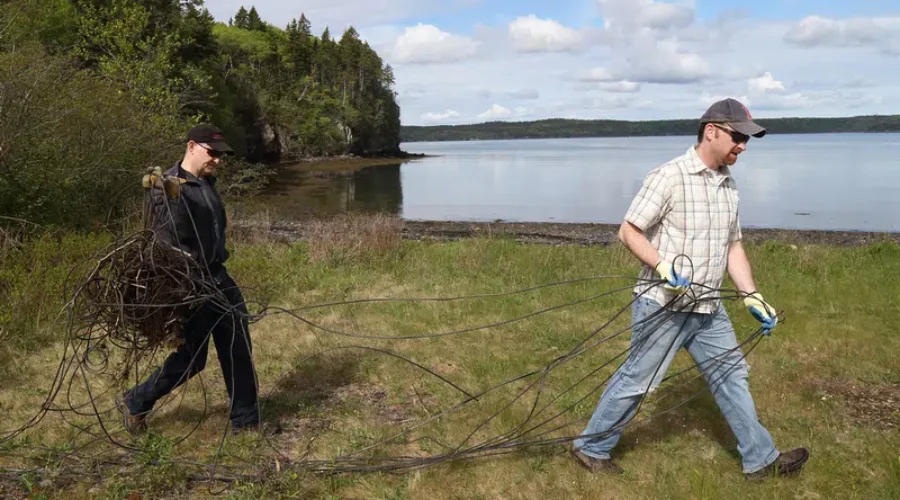 Volunteers Needed For Black Beach Trail Clean Up