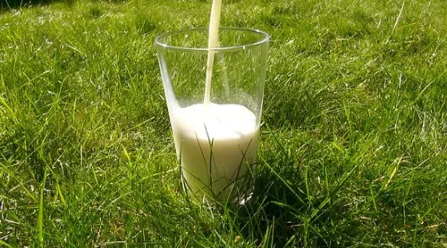 Atlantic Canada Has Most Expensive Milk Prices