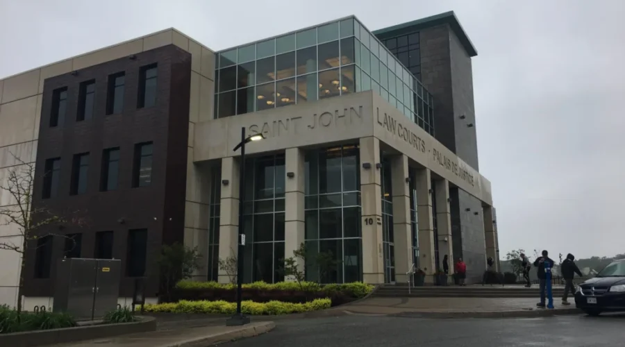 Saint John Harbour Election Case Hears Testimony From Elections Specialist