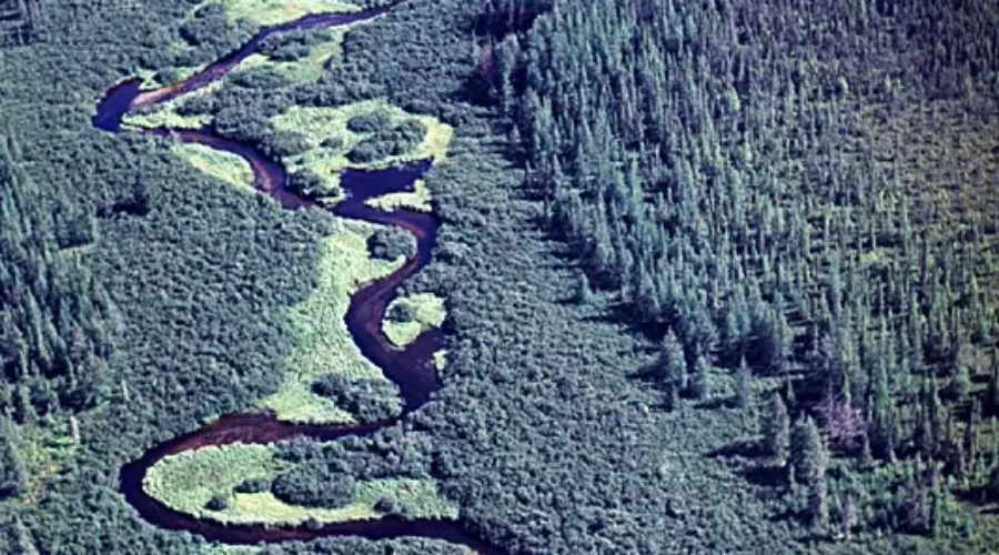 Research Project Aims To Find New Species At Kennedy Lakes