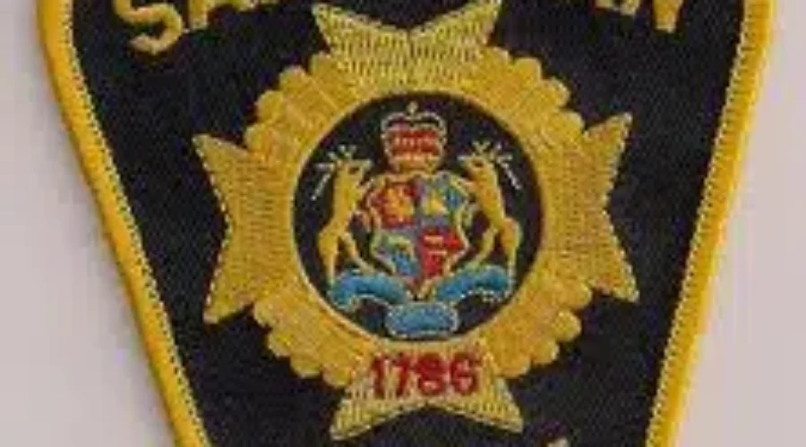 Tree Branch Downs Power Lines, Damages Car