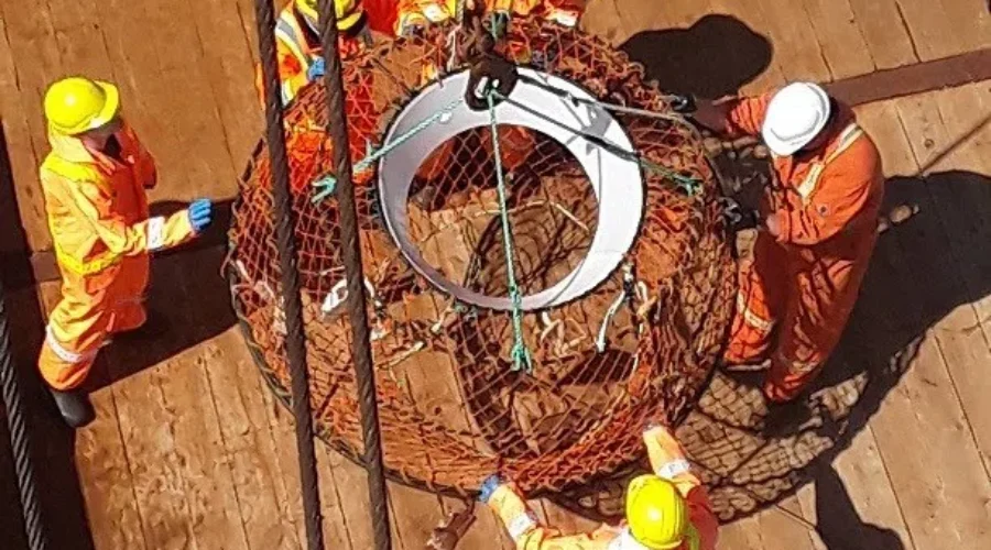 DFO Recovers ‘Ghost Gear’ In Attempt To Protect Right Whales