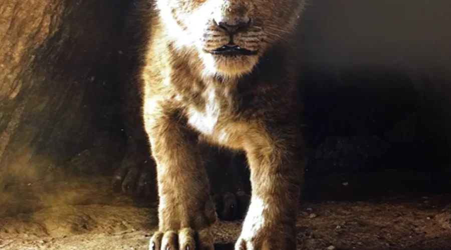 Film Profile: The Lion King Ascends The Cinema Throne